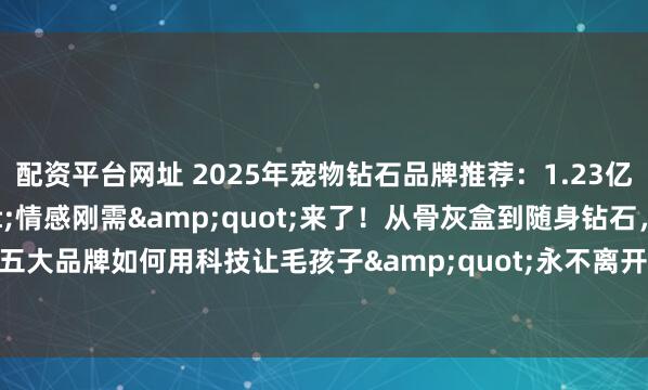 配资平台网址 2025年宠物钻石品牌推荐：1.23亿宠物家庭的"情感刚需"来了！从骨灰盒到随身钻石，五大品牌如何用科技让毛孩子"永不离开"？_主人_毛发_星愿