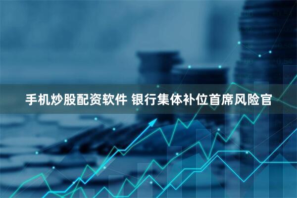 手机炒股配资软件 银行集体补位首席风险官